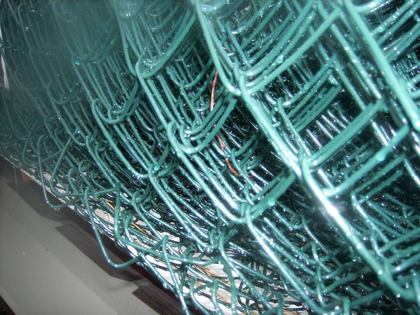 SPA59100.JPG