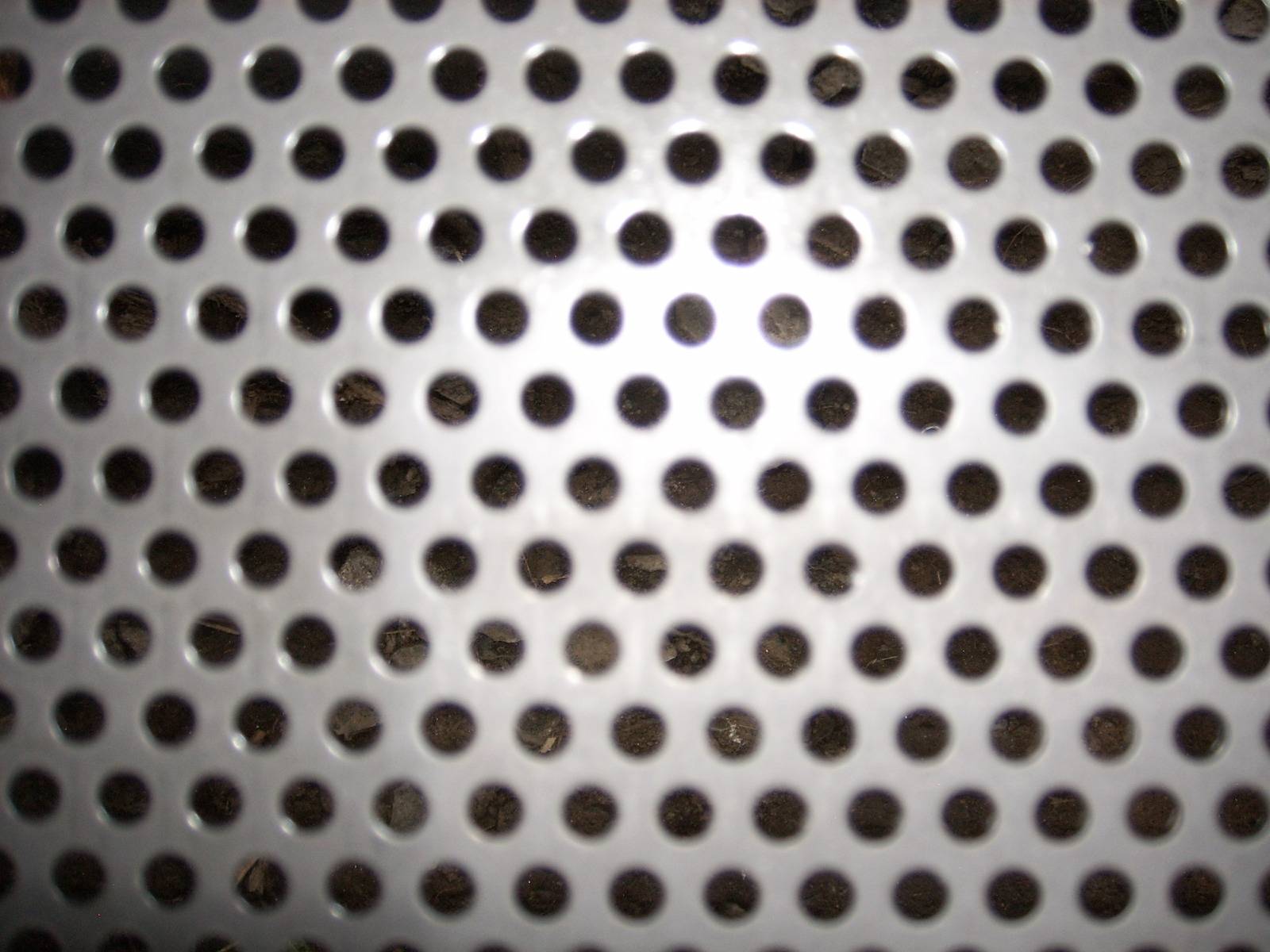 SPA58954.JPG